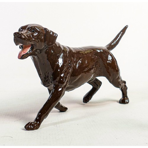 522 - Beswick walking chocolate labrador 3062B,
limited edition Collectors Club Special of 93 in 1993.