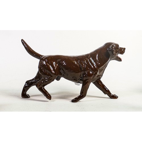 522 - Beswick walking chocolate labrador 3062B,
limited edition Collectors Club Special of 93 in 1993.