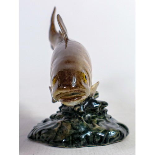 545 - Rare Beswick Trout 1246, modelled as 1246 golden trout but marked Trout to base and painted as model... 