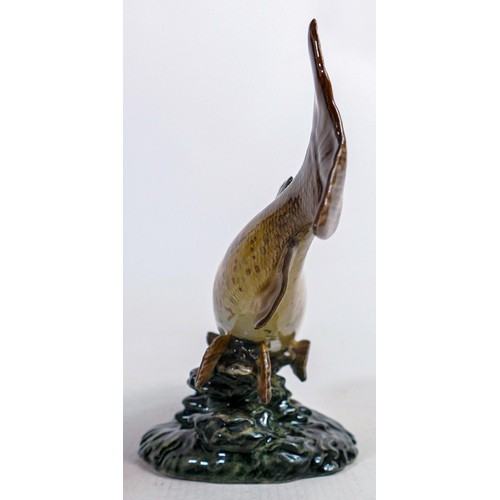 545 - Rare Beswick Trout 1246, modelled as 1246 golden trout but marked Trout to base and painted as model... 