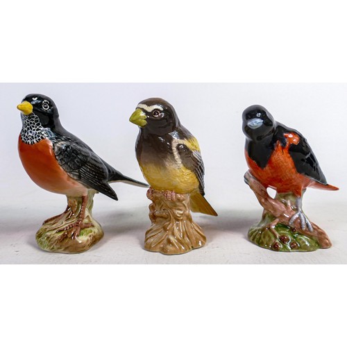 548 - Three Beswick American birds Baltimore Oriole 2183, American Robin 2182 & Evening Grosbeak 2190 (3)