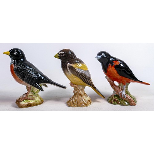 548 - Three Beswick American birds Baltimore Oriole 2183, American Robin 2182 & Evening Grosbeak 2190 (3)