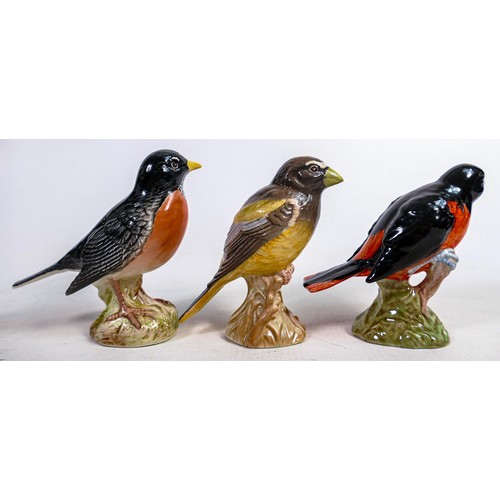 548 - Three Beswick American birds Baltimore Oriole 2183, American Robin 2182 & Evening Grosbeak 2190 (3)