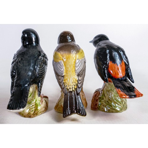 548 - Three Beswick American birds Baltimore Oriole 2183, American Robin 2182 & Evening Grosbeak 2190 (3)