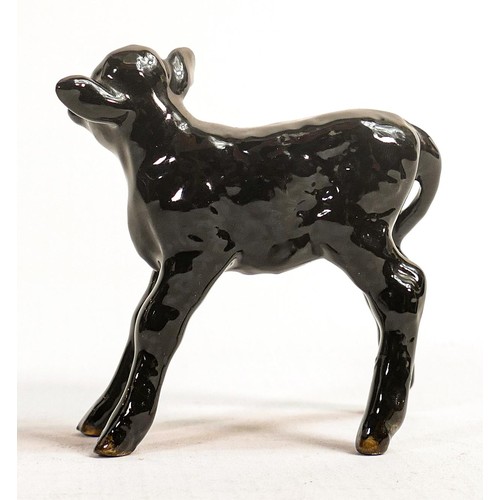 556 - Beswick Aberdeen Angus calf 1406a