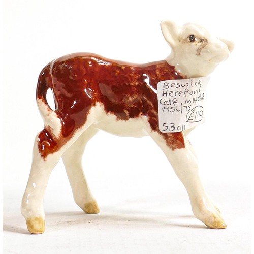 557 - Beswick Hereford calf 1406B