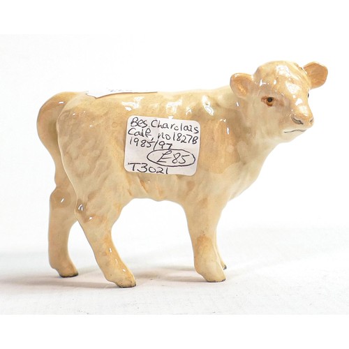 558 - Beswick Charolais calf 1827B