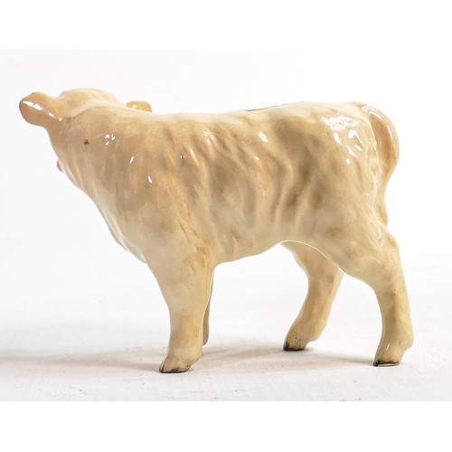 558 - Beswick Charolais calf 1827B