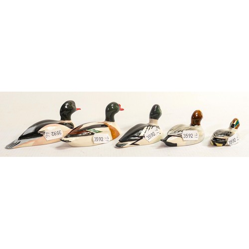 566 - A collection of Beswick ducks approved by Peter Scott, comprising Goosander, Shelduck, Wigeon, Golde... 