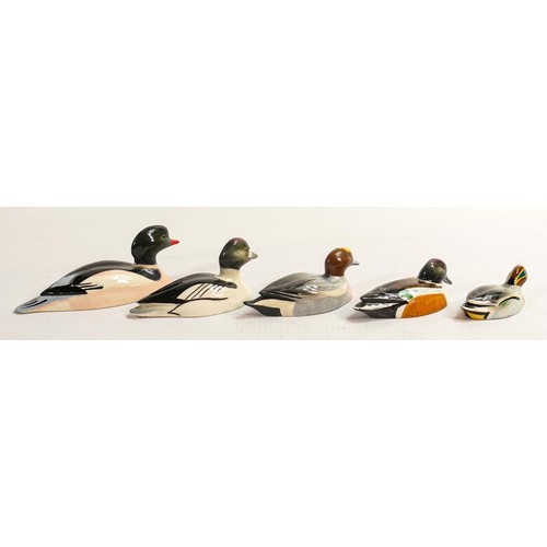 567 - A collection of Beswick ducks approved by Peter Scott, comprising Goosander (restored), Teal, Wigeon... 