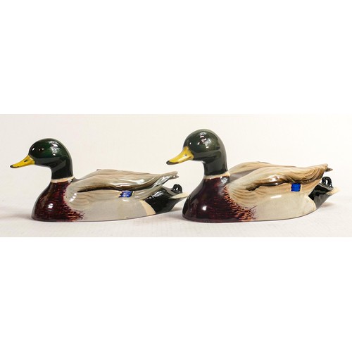 568 - Beswick Mallard ducks approved by Peter Scott, comprising 1518-1 and 1518-2. (2)