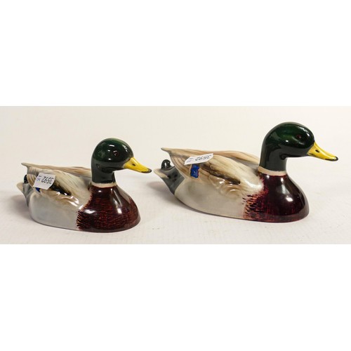 568 - Beswick Mallard ducks approved by Peter Scott, comprising 1518-1 and 1518-2. (2)