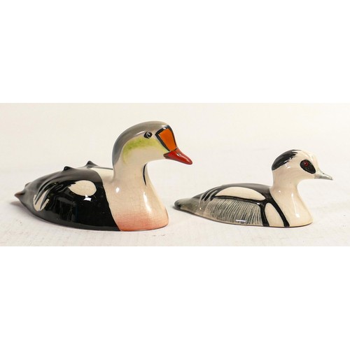 569 - Beswick ducks approved by Peter Scott, comprising King Eider and Smew. (2)