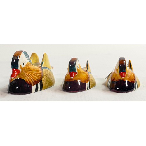 570 - Beswick Mandarin ducks approved by Peter Scott, comprising 1519-2 and 2 x 1519-3. (2)