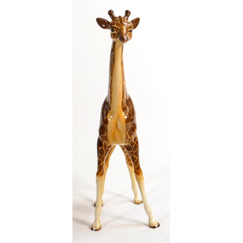 571 - Beswick large model of a Giraffe 1631.