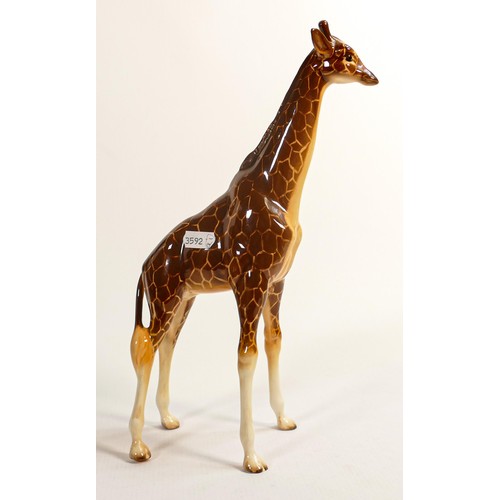 571 - Beswick large model of a Giraffe 1631.