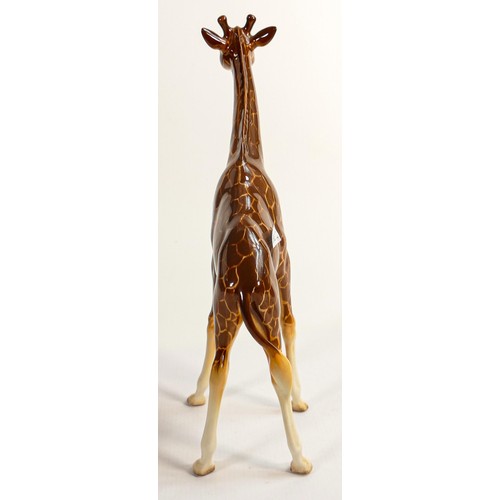 571 - Beswick large model of a Giraffe 1631.