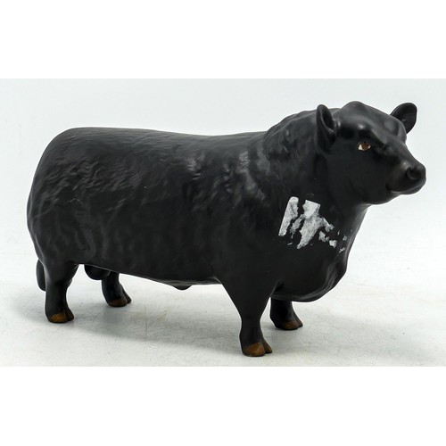 576 - Beswick matt Aberdeen Angus cow 1562