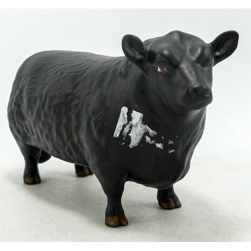 576 - Beswick matt Aberdeen Angus cow 1562