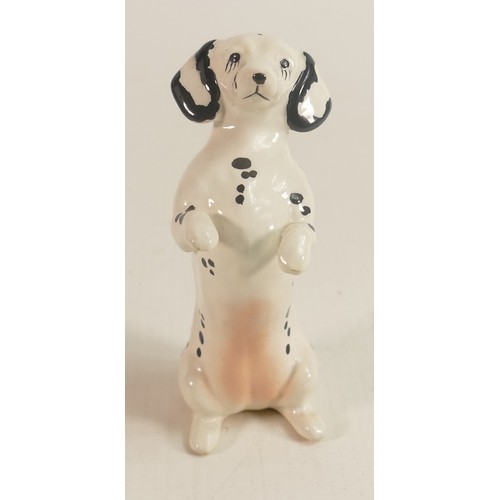 590 - Rare Beswick Dachshund begging 1461, in unrecorded white & black spotted colour way.