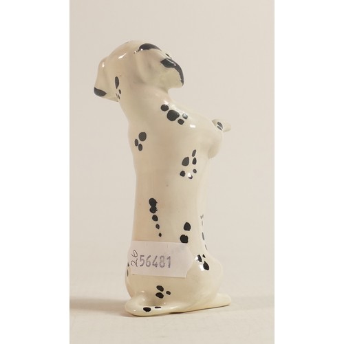 590 - Rare Beswick Dachshund begging 1461, in unrecorded white & black spotted colour way.