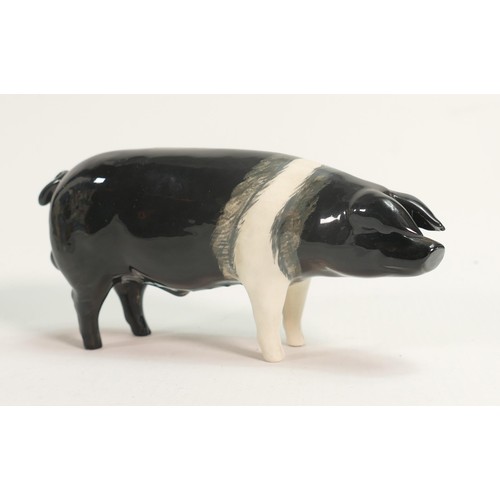 592 - Beswick Saddleback boar 1512