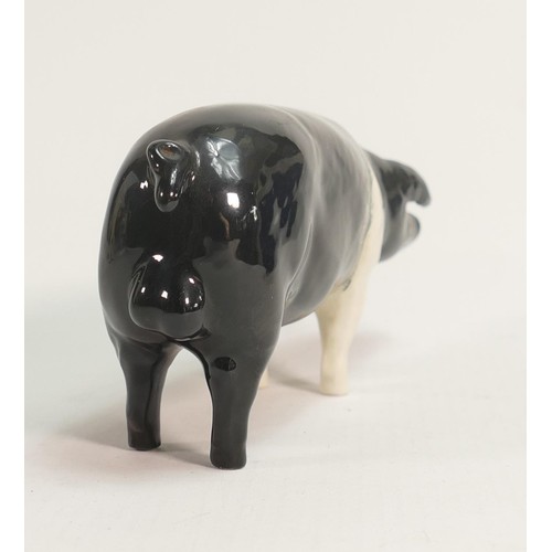 592 - Beswick Saddleback boar 1512