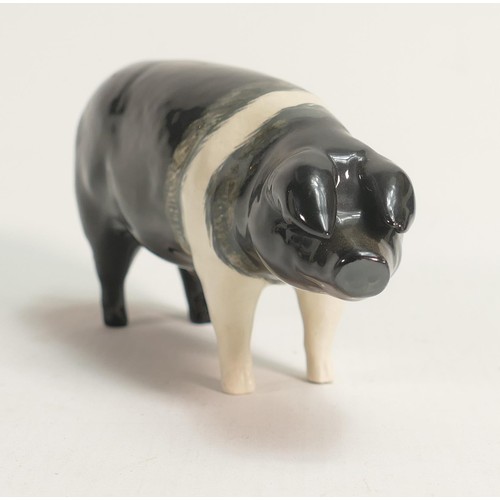 592 - Beswick Saddleback boar 1512