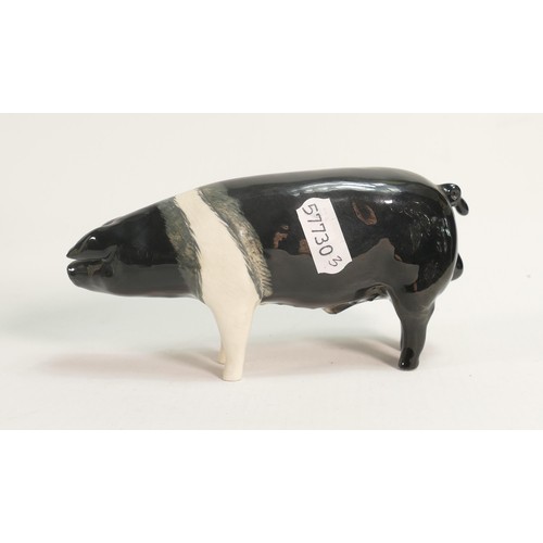 592 - Beswick Saddleback boar 1512