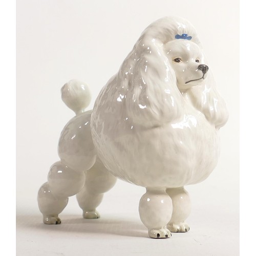 596 - Beswick model of a white poodle 2108, Ivanola Gold Digger, h.15cm.