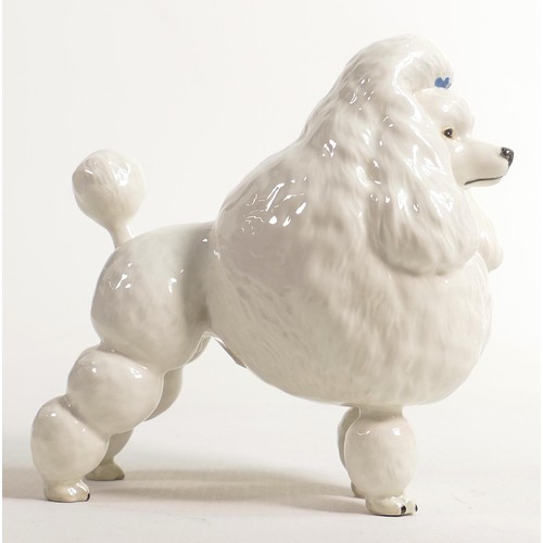 596 - Beswick model of a white poodle 2108, Ivanola Gold Digger, h.15cm.