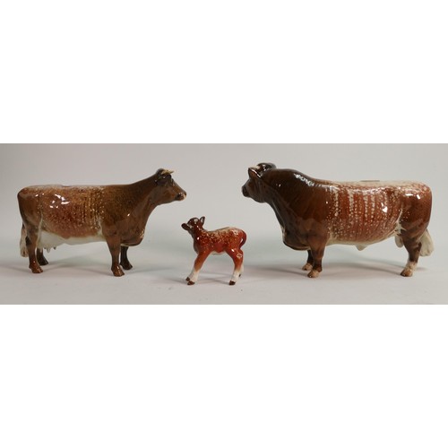 601 - Beswick Shorthorn family group bull 1504, cow 1510 & calf 1406c (3)