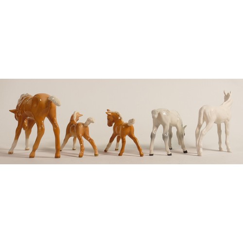 657 - A collection of Beswick foals, including grey grazing foal 946, satin matt Adventure foal, palomino ... 