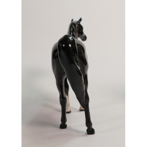 675 - Beswick Black Arab horse 1265 (a/f - two legs restored).