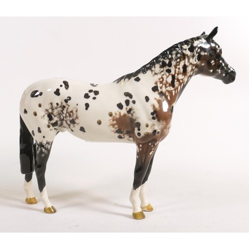 684 - Beswick Appaloosa horse 1772. Colourway 1.