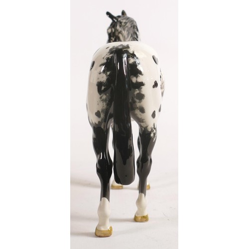 684 - Beswick Appaloosa horse 1772. Colourway 1.