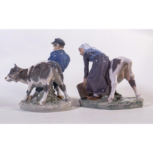 699 - Royal Copenhagen girl with calf model number 779 & boy with calf 772. (2)