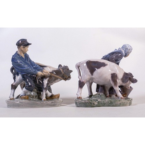 699 - Royal Copenhagen girl with calf model number 779 & boy with calf 772. (2)