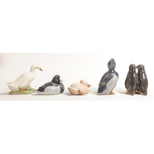 713 - Royal Copenhagen figures of geese, penguins, ducks & dbrds, largest 12cm. (5)