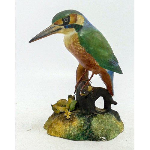 1259 - Royal Crown Derby matt bird figure Kingfisher, height 14cm.