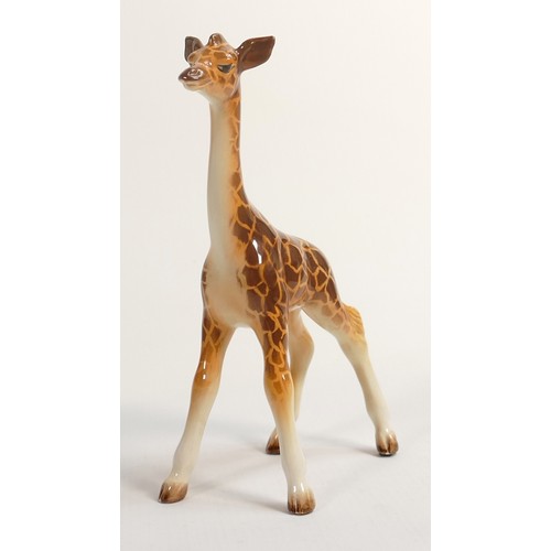 599 - Beswick baby giraffe model 853.