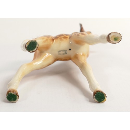 599 - Beswick baby giraffe model 853.