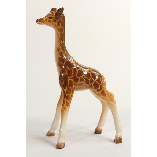 599 - Beswick baby giraffe model 853.