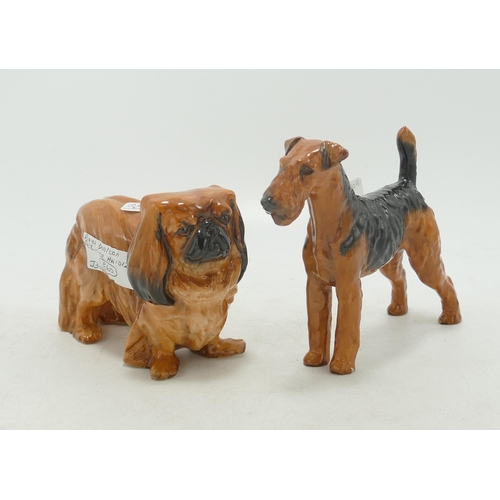 367 - Royal Doulton Dogs to include Airedale Terrier Hn1024 & Pekingese Hn1012(2)