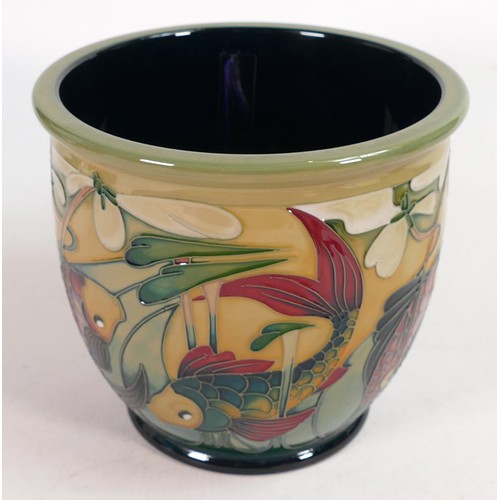 914D - Moorcroft Carp Circles planter. Trial piece dated 11/10/11, height 15cm