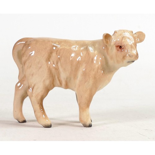 586 - Beswick Charolais calf 1827B