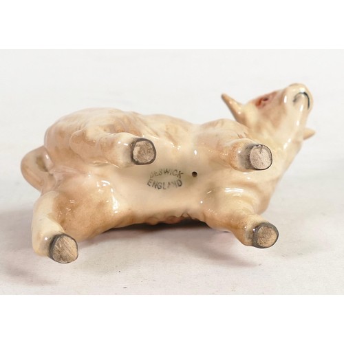 586 - Beswick Charolais calf 1827B