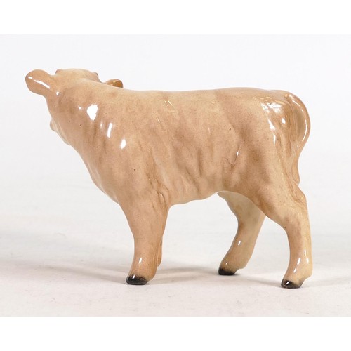 586 - Beswick Charolais calf 1827B