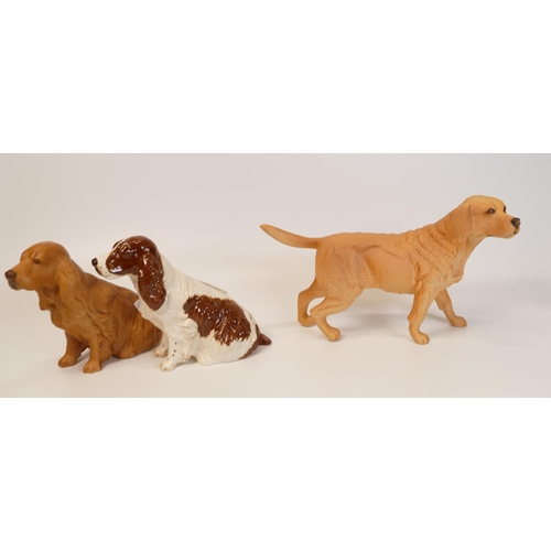 151 - Royal Doulton Dog figures Labrador Matt & Glosss Cocker Spaniels(3)