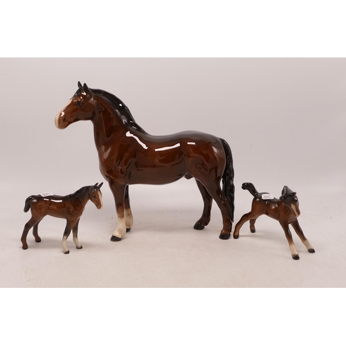 205 - Beswick brown gloss Welsh Cob 1793 together with foal 815 and 1817 (3)